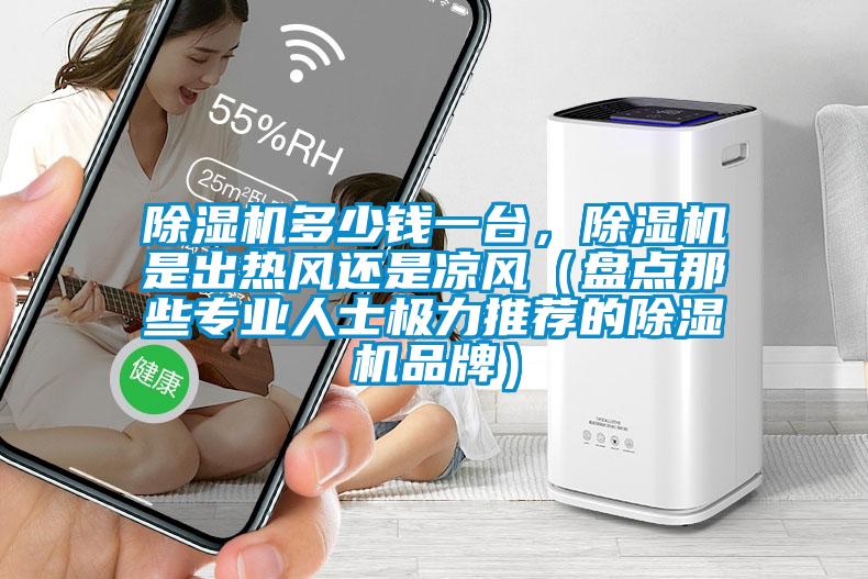 除濕機多少錢一臺,除濕機是出熱風還是涼風(盤點那些專業(yè)人士極力推薦的除濕機品牌)