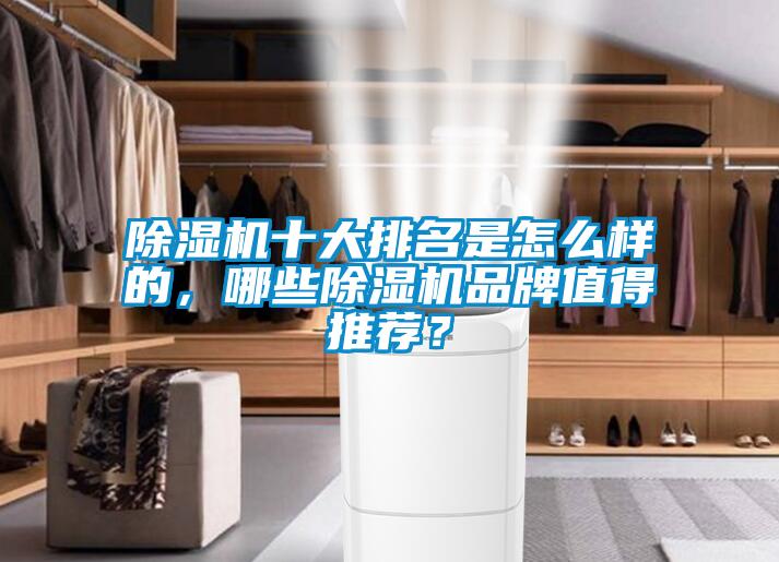 除濕機十大排名是怎么樣的，哪些除濕機品牌值得推薦？