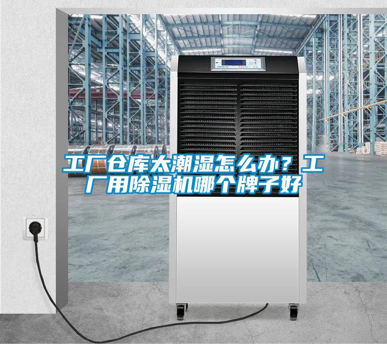 工廠倉(cāng)庫(kù)太潮濕怎么辦?工廠用除濕機(jī)哪個(gè)牌子好
