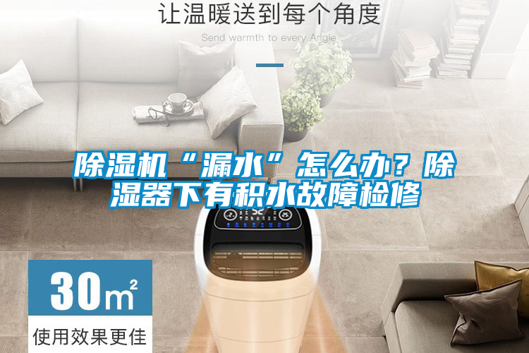 除濕機“漏水”怎么辦?除濕器下有積水故障檢修
