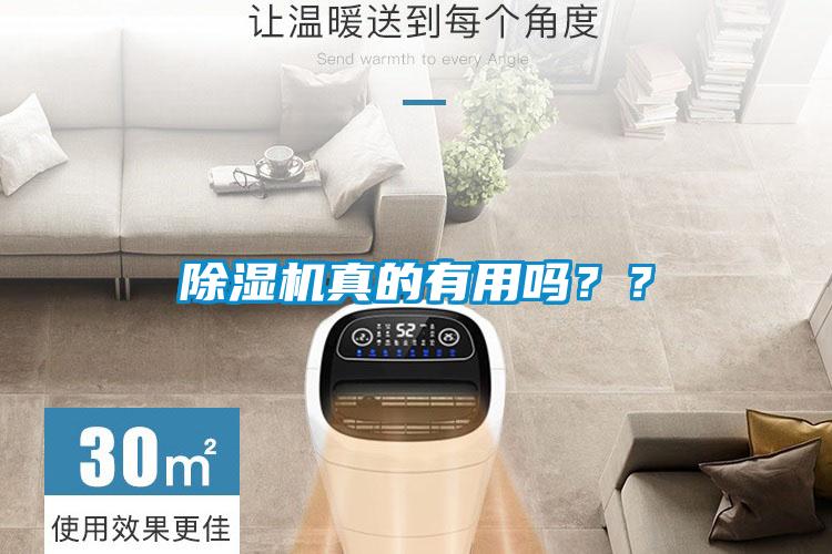 除濕機真的有用嗎？？
