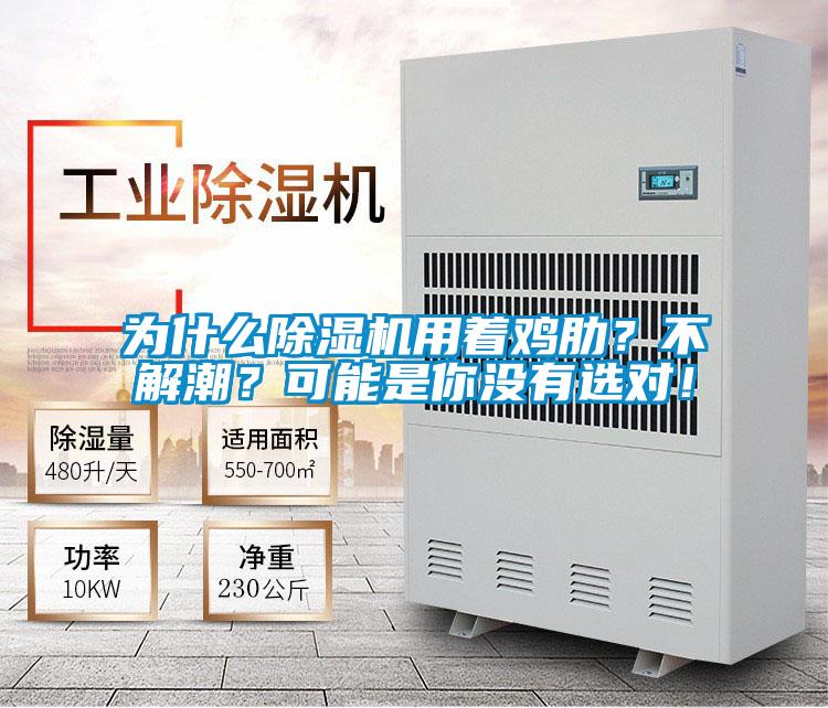 為什么除濕機用著雞肋？不解潮？可能是你沒有選對！