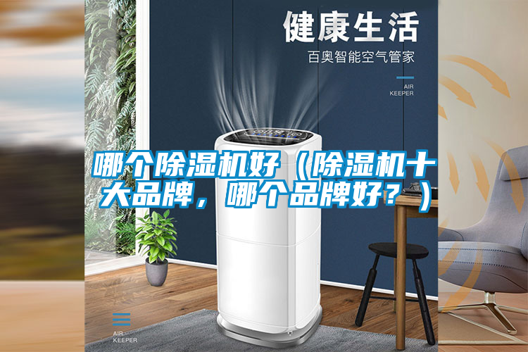 哪個除濕機好(除濕機十大品牌,哪個品牌好?)