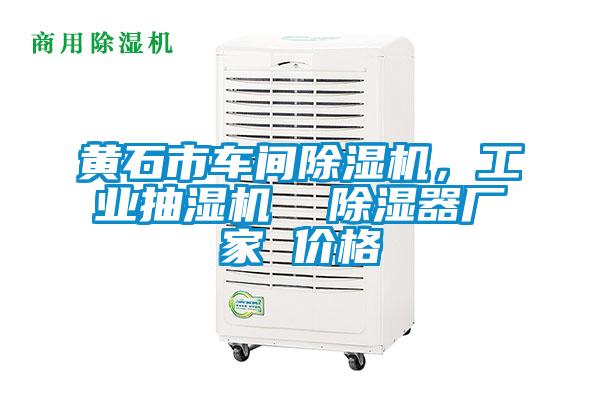 黃石市車間除濕機，工業(yè)抽濕機  除濕器廠家 價格