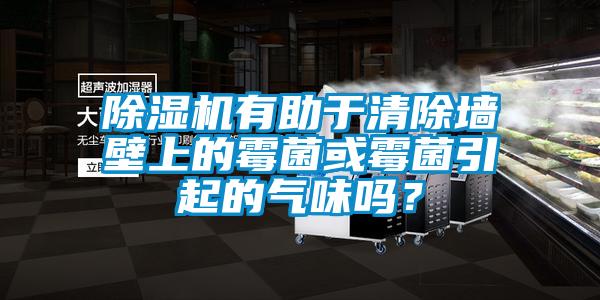 除濕機有助于清除墻壁上的霉菌或霉菌引起的氣味嗎？