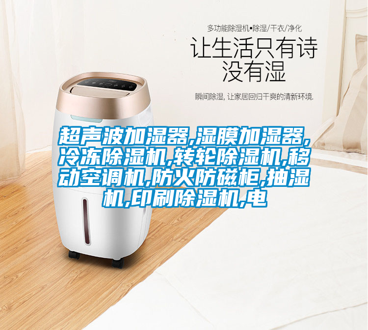 超聲波加濕器,濕膜加濕器,冷凍除濕機,轉輪除濕機,移動空調(diào)機,防火防磁柜,抽濕機,印刷除濕機,電