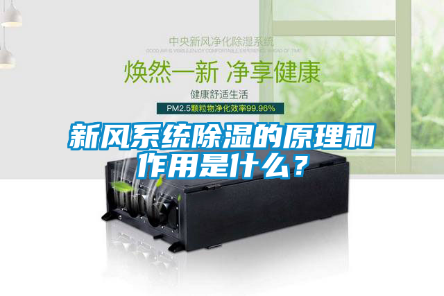 新風系統除濕的原理和作用是什么?