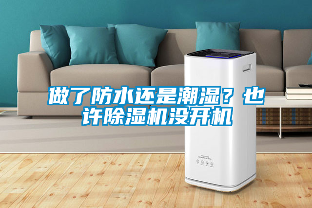 做了防水還是潮濕？也許除濕機沒開機
