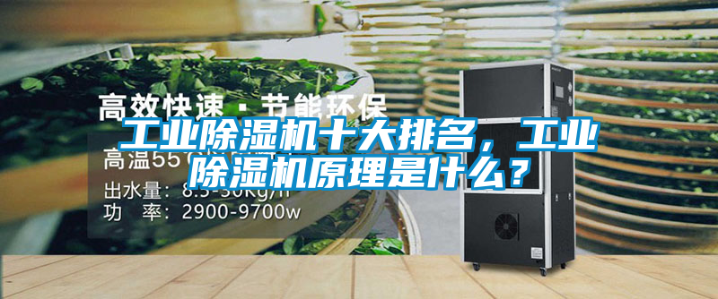 工業(yè)除濕機十大排名，工業(yè)除濕機原理是什么？