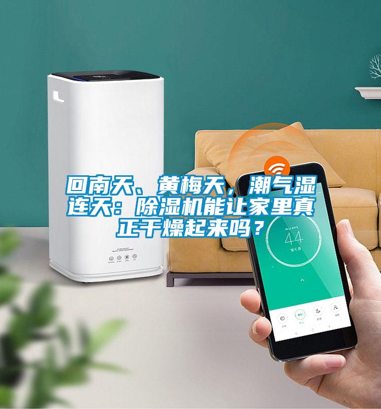 回南天、黃梅天，潮氣濕連天：除濕機能讓家里真正干燥起來嗎？