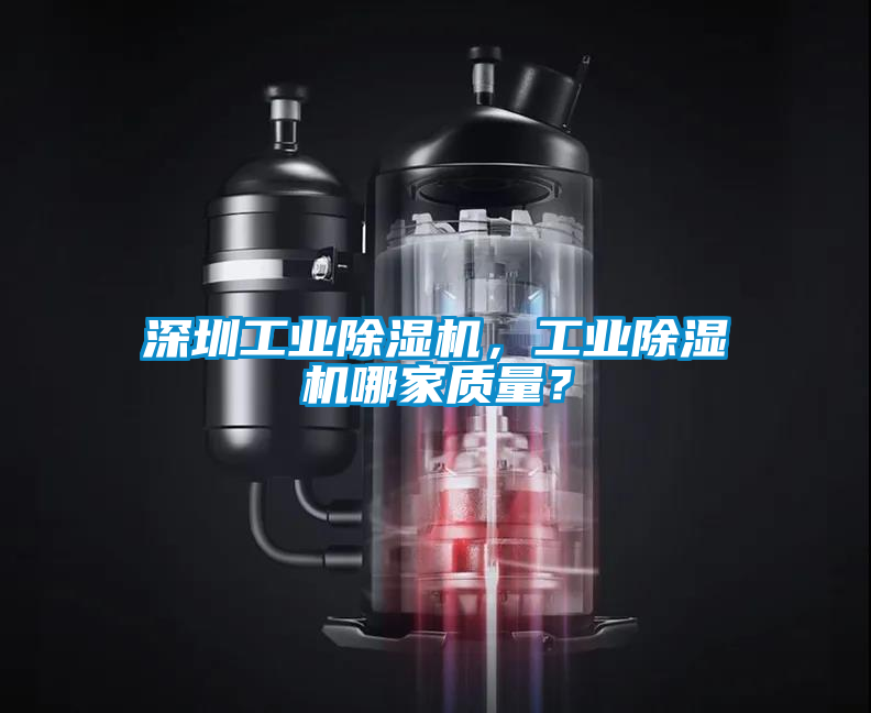 深圳工業除濕機,工業除濕機哪家質量?