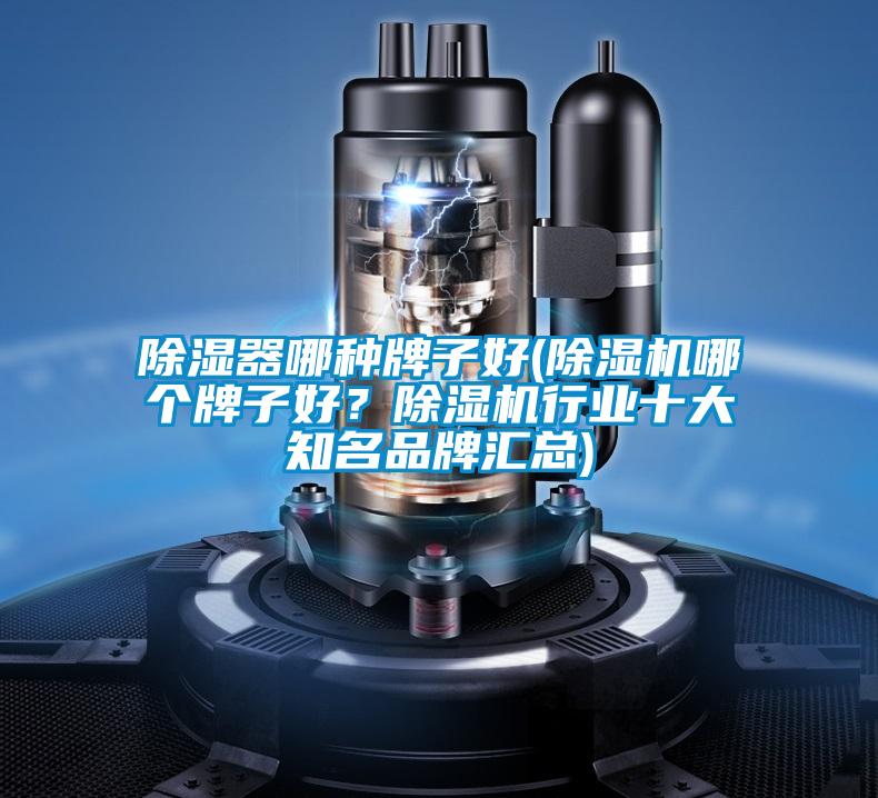 除濕器哪種牌子好(除濕機哪個牌子好？除濕機行業(yè)十大知名品牌匯總)