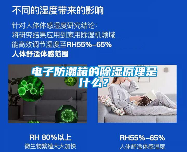 電子防潮箱的除濕原理是什么?