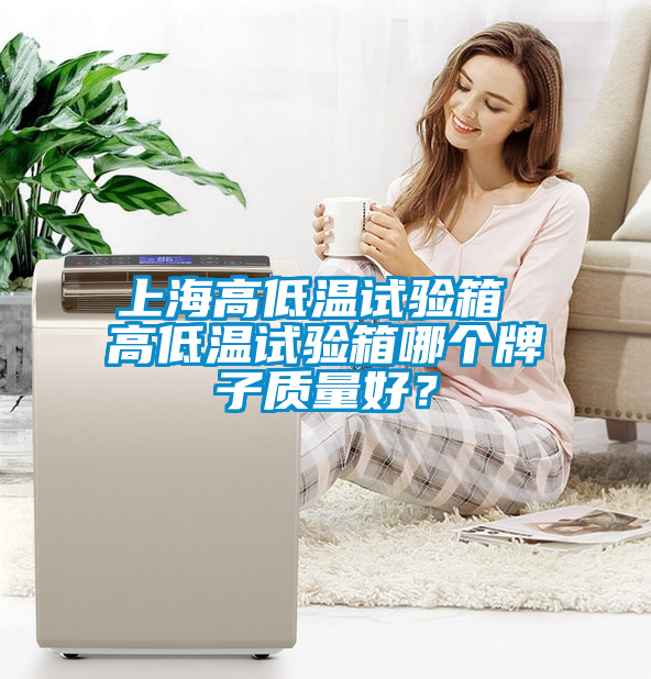 上海高低溫試驗箱 高低溫試驗箱哪個牌子質量好?