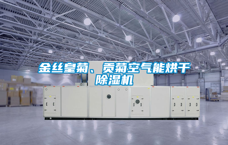 金絲皇菊、貢菊空氣能烘干除濕機