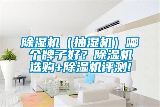 除濕機（抽濕機）哪個牌子好？除濕機選購+除濕機評測!