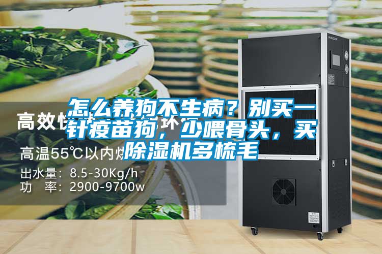 怎么養(yǎng)狗不生病?別買一針疫苗狗,少喂骨頭,買除濕機(jī)多梳毛