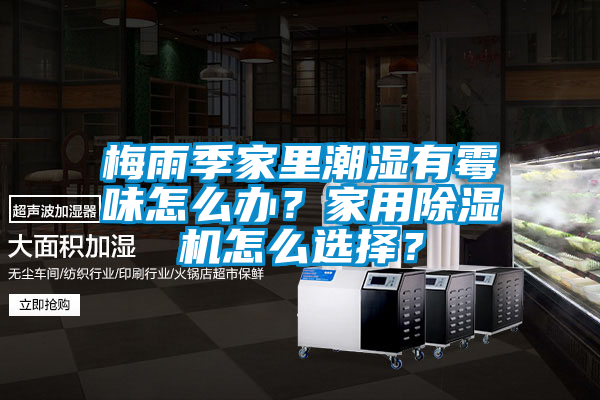 梅雨季家里潮濕有霉味怎么辦？家用除濕機(jī)怎么選擇？
