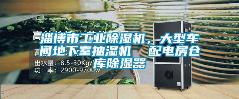 淄博市工業除濕機，大型車間地下室抽濕機  配電房倉庫除濕器