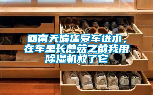 回南天偏逢愛車進水，在車里長蘑菇之前我用除濕機救了它