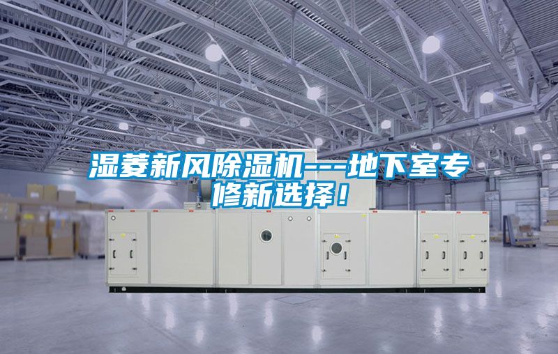 濕菱新風(fēng)除濕機(jī)---地下室專修新選擇!