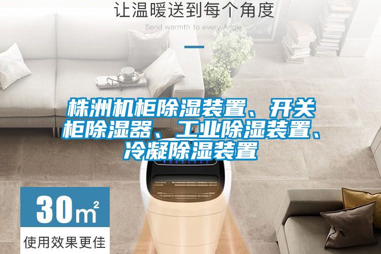 株洲機柜除濕裝置、開關柜除濕器、工業除濕裝置、冷凝除濕裝置