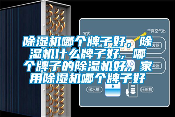 除濕機哪個牌子好，除濕機什么牌子好，哪個牌子的除濕機好，家用除濕機哪個牌子好
