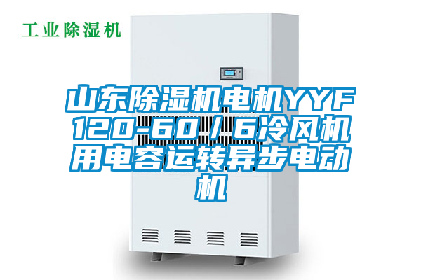 山東除濕機(jī)電機(jī)YYF120-60/6冷風(fēng)機(jī)用電容運(yùn)轉(zhuǎn)異步電動機(jī)