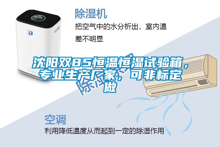 沈陽(yáng)雙85恒溫恒濕試驗(yàn)箱,專業(yè)生產(chǎn)廠家,可非標(biāo)定做