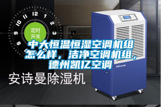 中大恒溫恒濕空調(diào)機(jī)組怎么樣，潔凈空調(diào)機(jī)組，德州凱億空調(diào)