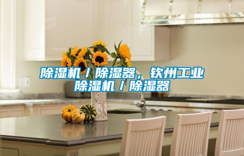 除濕機／除濕器，欽州工業除濕機／除濕器