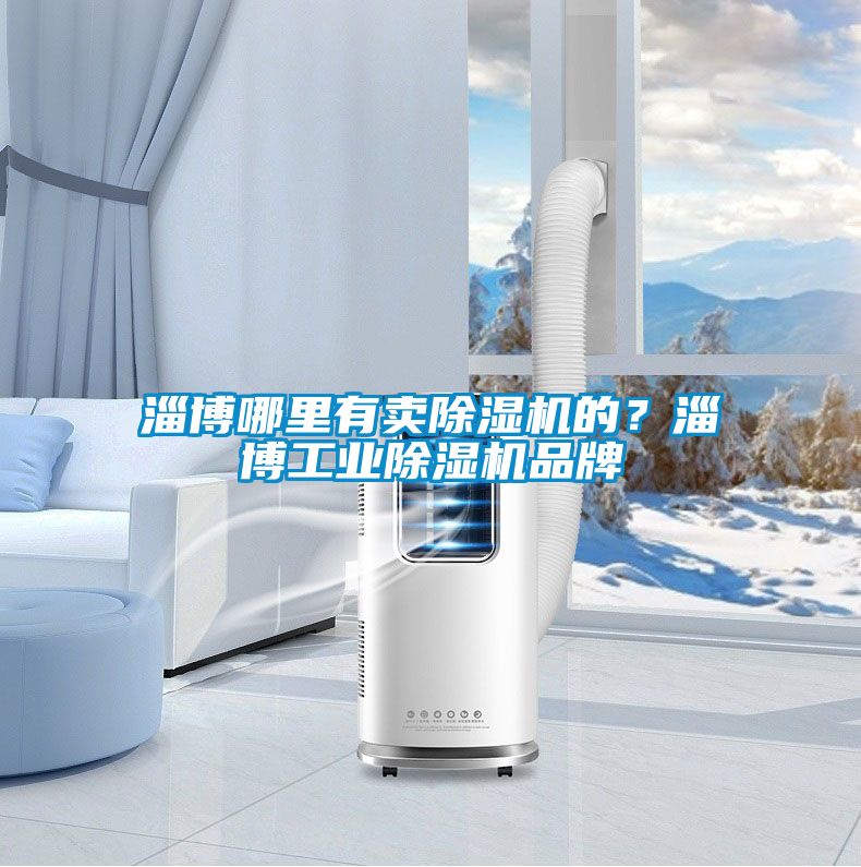 淄博哪里有賣除濕機的?淄博工業除濕機品牌