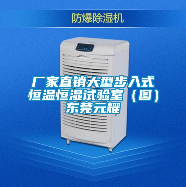 廠家直銷大型步入式恒溫恒濕試驗室(圖)東莞元耀
