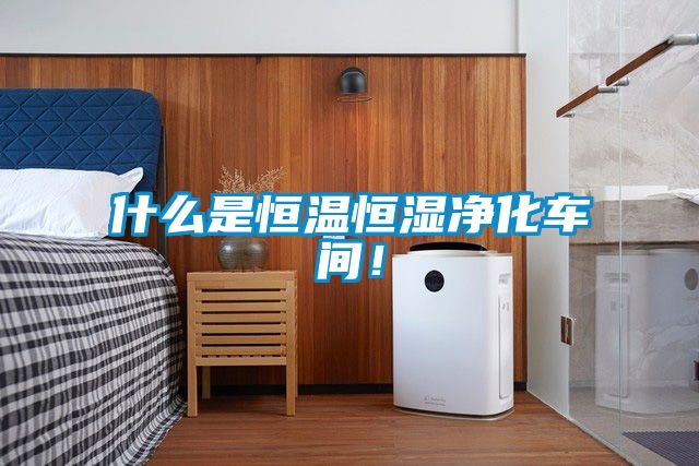 什么是恒溫恒濕凈化車(chē)間！