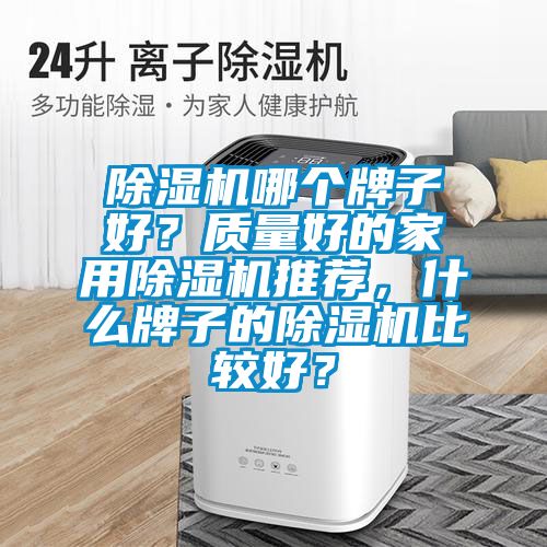 除濕機哪個牌子好？質量好的家用除濕機推薦，什么牌子的除濕機比較好？