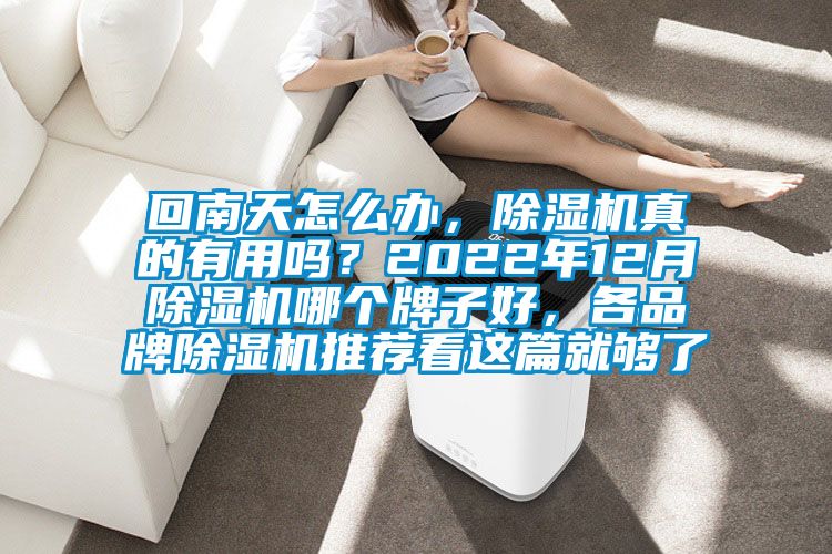 回南天怎么辦，除濕機真的有用嗎？2022年12月除濕機哪個牌子好，各品牌除濕機推薦看這篇就夠了