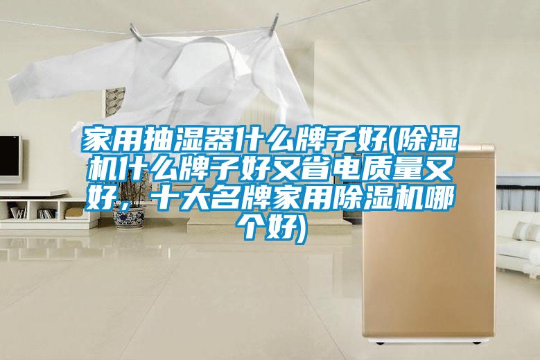 家用抽濕器什么牌子好(除濕機什么牌子好又省電質量又好，十大名牌家用除濕機哪個好)