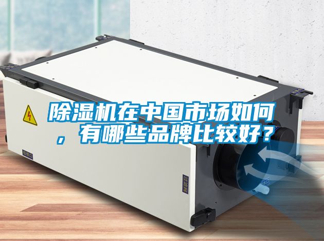 除濕機在中國市場如何,有哪些品牌比較好?