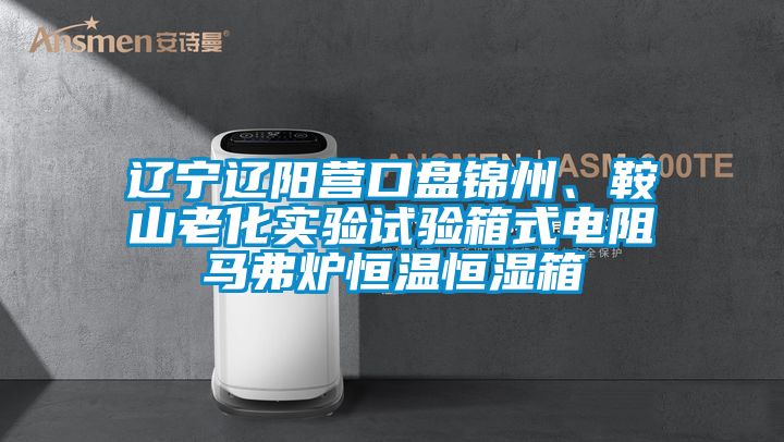 遼寧遼陽(yáng)營(yíng)口盤錦州、鞍山老化實(shí)驗(yàn)試驗(yàn)箱式電阻馬弗爐恒溫恒濕箱