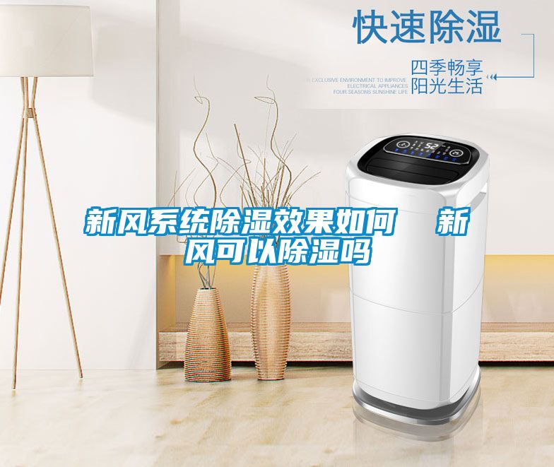 新風(fēng)系統(tǒng)除濕效果如何 新風(fēng)可以除濕嗎