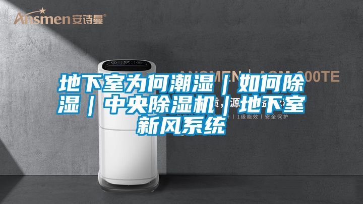 地下室為何潮濕｜如何除濕｜中央除濕機｜地下室新風(fēng)系統(tǒng)