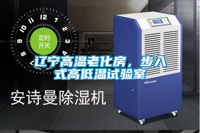 遼寧高溫老化房，步入式高低溫試驗室