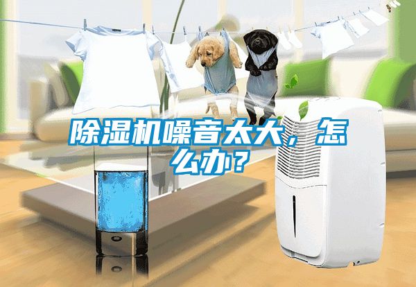除濕機噪音太大，怎么辦？