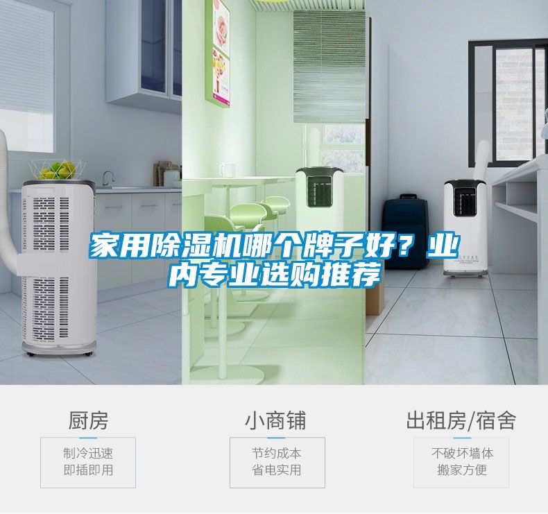 家用除濕機(jī)哪個牌子好？業(yè)內(nèi)專業(yè)選購?fù)扑]