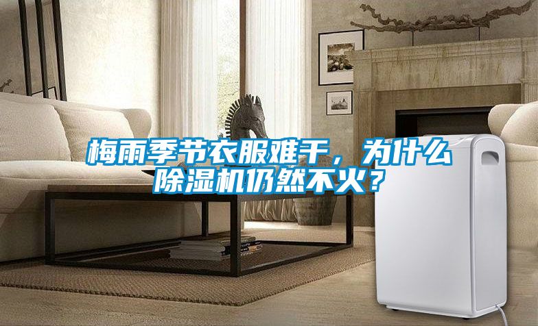 梅雨季節衣服難干,為什么除濕機仍然不火?