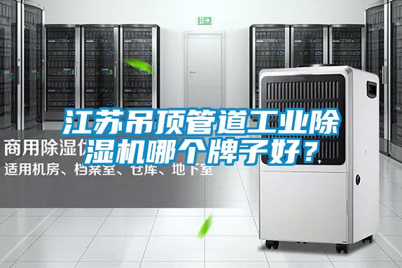 江蘇吊頂管道工業(yè)除濕機(jī)哪個牌子好？