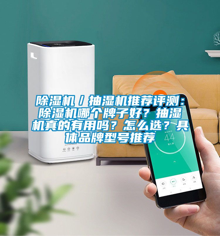 除濕機／抽濕機推薦評測：除濕機哪個牌子好？抽濕機真的有用嗎？怎么選？具體品牌型號推薦