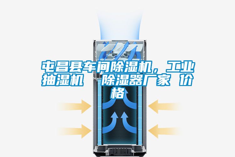 屯昌縣車(chē)間除濕機(jī),工業(yè)抽濕機(jī) 除濕器廠家 價(jià)格