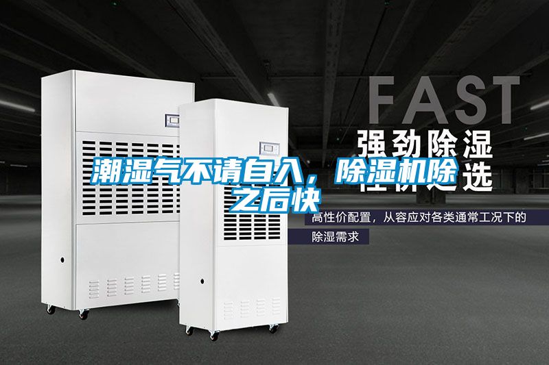 潮濕氣不請(qǐng)自入,除濕機(jī)除之后快