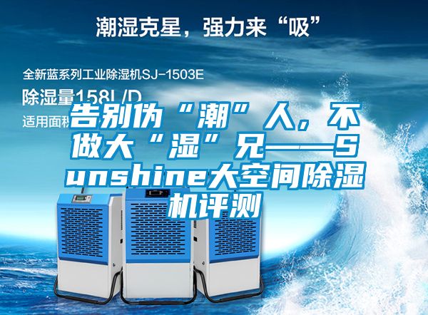 告別偽“潮”人，不做大“濕”兄——Sunshine大空間除濕機評測